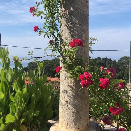 Villa Anica Dubrovnik - Luxurious With A Sea View Exterior foto